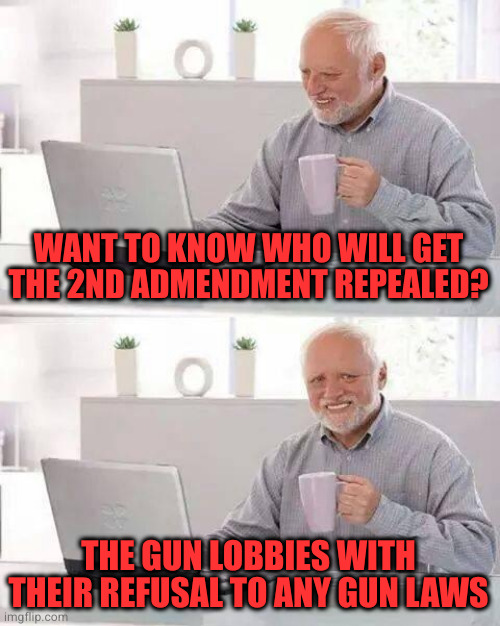 I'm not anti gun. But if the choice is only all guns or no guns, I'm voting no guns | WANT TO KNOW WHO WILL GET THE 2ND ADMENDMENT REPEALED? THE GUN LOBBIES WITH THEIR REFUSAL TO ANY GUN LAWS | image tagged in memes,hide the pain harold | made w/ Imgflip meme maker