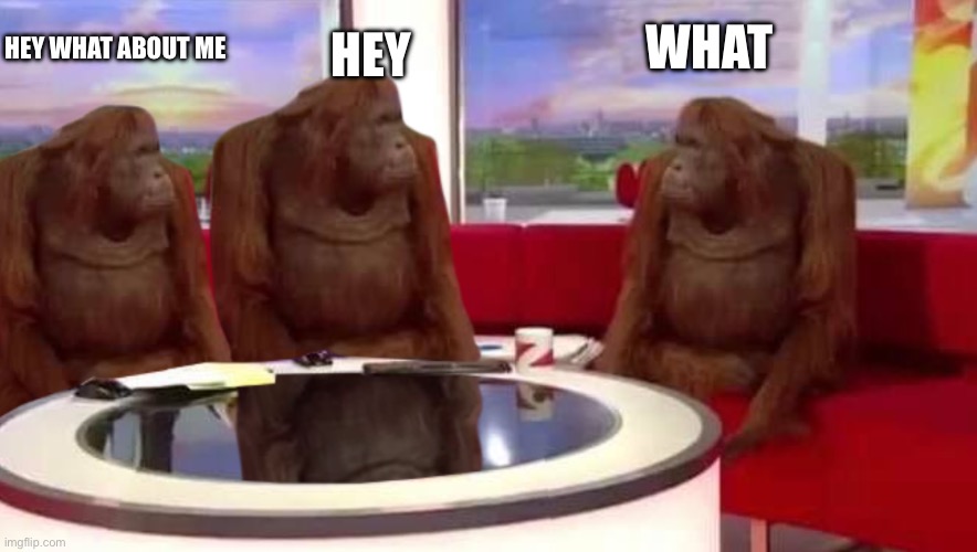 where monkey | HEY; HEY WHAT ABOUT ME; WHAT | image tagged in where monkey | made w/ Imgflip meme maker