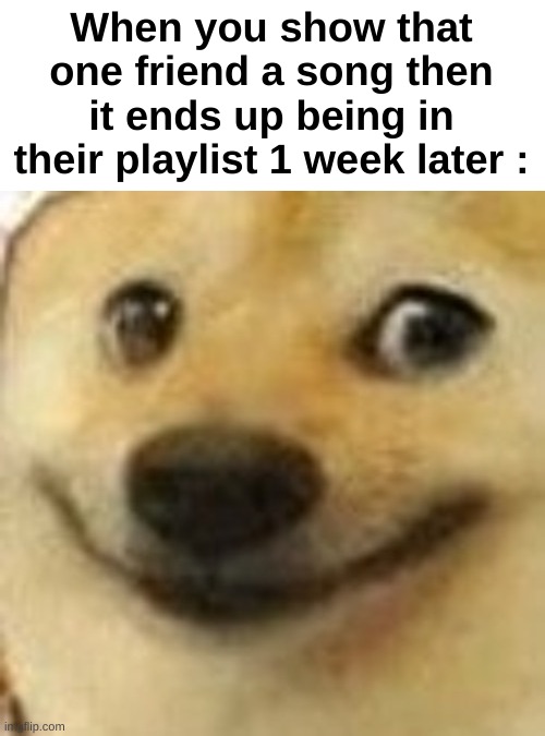 Isn't it wholesome ? | When you show that one friend a song then it ends up being in their playlist 1 week later : | image tagged in memes,funny,relatable,wholesome,friends,front page plz | made w/ Imgflip meme maker