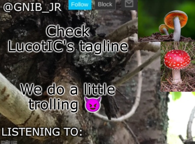 Gnib_Jr's new temp | Check LucotIC's tagline; We do a little trolling 😈 | image tagged in gnib_jr's new temp | made w/ Imgflip meme maker
