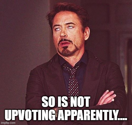 Robert Downey Jr Annoyed | SO IS NOT UPVOTING APPARENTLY.... | image tagged in robert downey jr annoyed | made w/ Imgflip meme maker