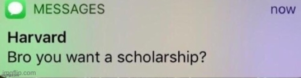 Bro do you want a scholarship? | image tagged in bro do you want a scholarship | made w/ Imgflip meme maker