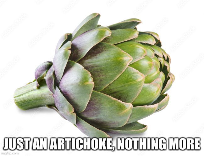 Only an artichoke | JUST AN ARTICHOKE, NOTHING MORE | image tagged in artichoke msi | made w/ Imgflip meme maker