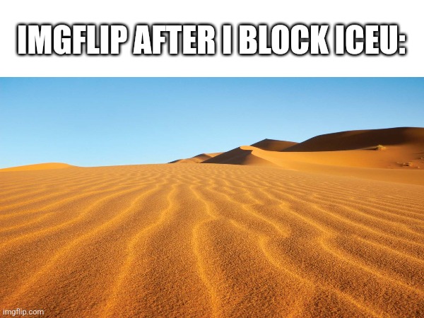 IMGFLIP AFTER I BLOCK ICEU: | made w/ Imgflip meme maker