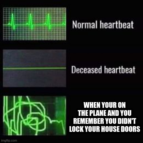 scary thought | WHEN YOUR ON THE PLANE AND YOU REMEMBER YOU DIDN'T LOCK YOUR HOUSE DOORS | image tagged in heartbeat rate | made w/ Imgflip meme maker