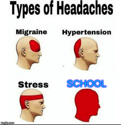 Types of Headaches meme | SCHOOL | image tagged in types of headaches meme | made w/ Imgflip meme maker