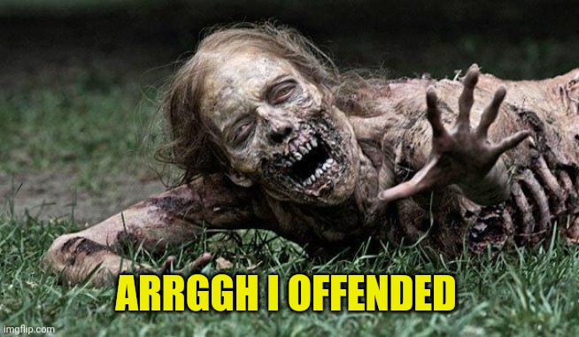 Walking Dead Zombie | ARRGGH I OFFENDED | image tagged in walking dead zombie | made w/ Imgflip meme maker