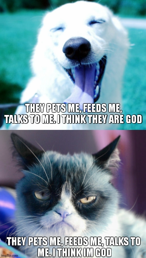 happy dog grumpy cat | THEY PETS ME, FEEDS ME, TALKS TO ME. I THINK THEY ARE GOD THEY PETS ME, FEEDS ME, TALKS TO
 ME. I THINK IM GOD | image tagged in happy dog grumpy cat | made w/ Imgflip meme maker