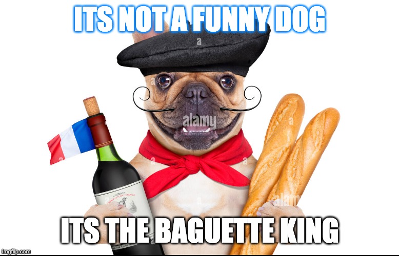 ITS NOT A FUNNY DOG; ITS THE BAGUETTE KING | image tagged in bad pun dog | made w/ Imgflip meme maker