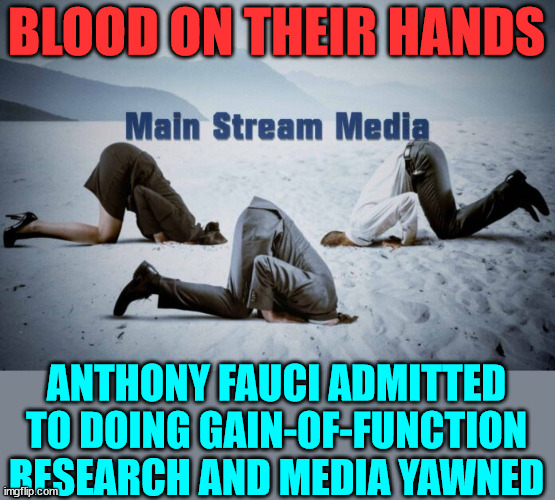 "It's worth the risk" - Fauci | BLOOD ON THEIR HANDS; ANTHONY FAUCI ADMITTED TO DOING GAIN-OF-FUNCTION RESEARCH AND MEDIA YAWNED | image tagged in corrupt,mainstream media,dr fauci,psychopaths and serial killers | made w/ Imgflip meme maker