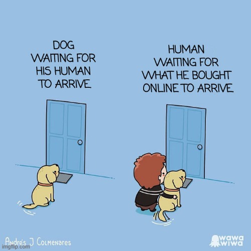 image tagged in dog,waiting,door,delivery,package | made w/ Imgflip meme maker