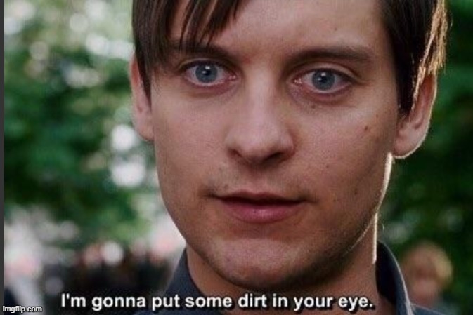 I'm gonna put some dirt in your eye | image tagged in i'm gonna put some dirt in your eye | made w/ Imgflip meme maker