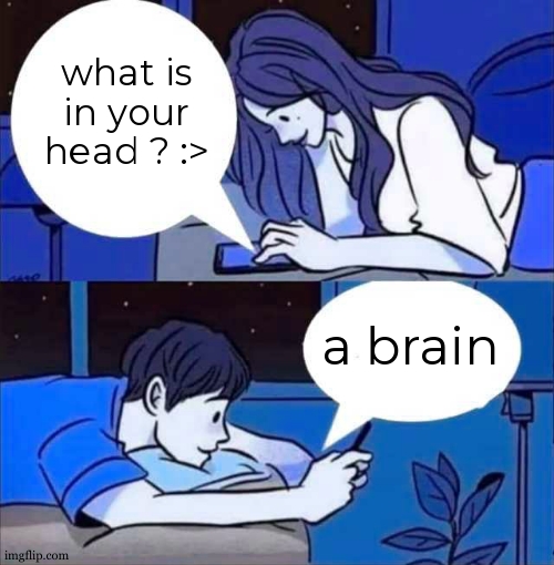 meme chat | what is in your head ? :>; a brain | image tagged in boy and girl texting,chat,yeah this is big brain time,galaxy brain 3 brains,smrt,genius | made w/ Imgflip meme maker