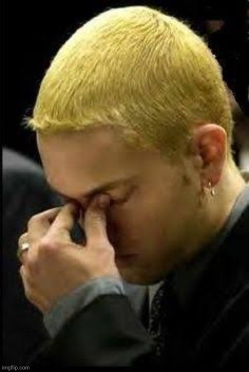 Eminem Face Palm | image tagged in eminem face palm | made w/ Imgflip meme maker