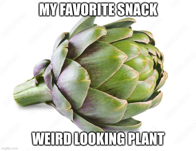 MY FAVORITE SNACK; WEIRD LOOKING PLANT | image tagged in artichoke msi | made w/ Imgflip meme maker