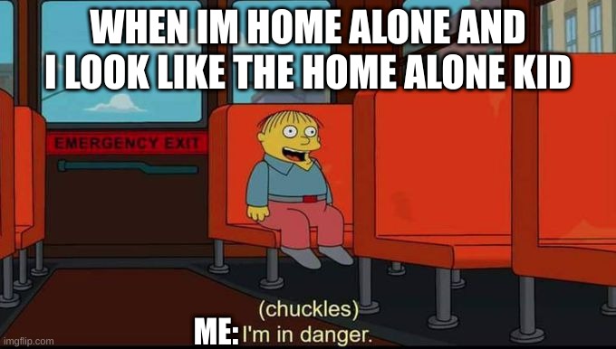 i'm not joking about this sadly | WHEN IM HOME ALONE AND I LOOK LIKE THE HOME ALONE KID; ME: | image tagged in im in danger,home alone kid | made w/ Imgflip meme maker