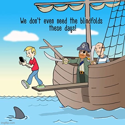Pirate ship | image tagged in pirates,walk the plank,no blindfold,busy on phone,comics | made w/ Imgflip meme maker