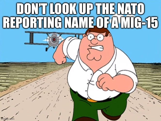 Or do it ig, it’s your decision | DON’T LOOK UP THE NATO REPORTING NAME OF A MIG-15 | image tagged in peter griffin running | made w/ Imgflip meme maker