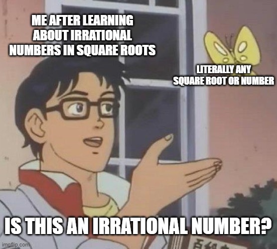 I can't see anything else, please help | ME AFTER LEARNING ABOUT IRRATIONAL NUMBERS IN SQUARE ROOTS; LITERALLY ANY SQUARE ROOT OR NUMBER; IS THIS AN IRRATIONAL NUMBER? | image tagged in memes,is this a pigeon | made w/ Imgflip meme maker