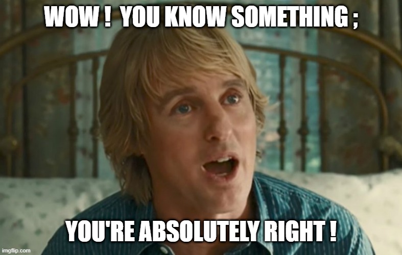 Owen Wilson WOW | WOW !  YOU KNOW SOMETHING ; YOU'RE ABSOLUTELY RIGHT ! | image tagged in owen wilson wow | made w/ Imgflip meme maker