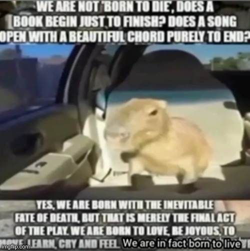 I am going to keep post this every day until everyone in msmg notices it | made w/ Imgflip meme maker