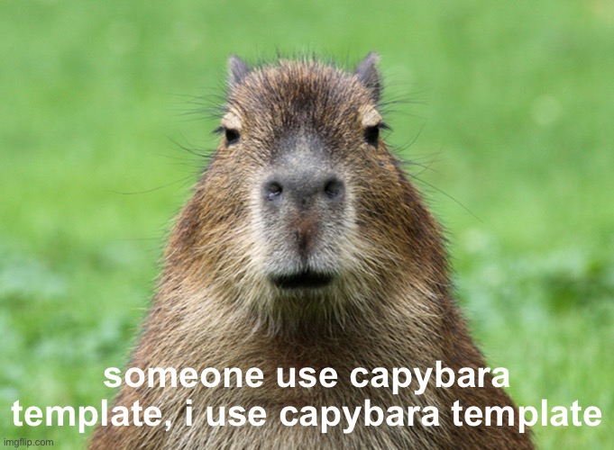 a We are not born to die. Does a book begin just to finish? Does a song open with a beautiful chord purely to end?

Yes, we are | someone use capybara template, i use capybara template | image tagged in capybara is not amused | made w/ Imgflip meme maker