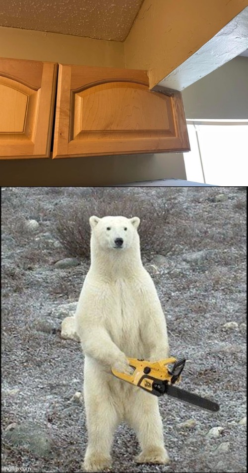 Cabinets | image tagged in chainsaw polar bear,cabinet,cabinets,you had one job,memes,kitchen | made w/ Imgflip meme maker
