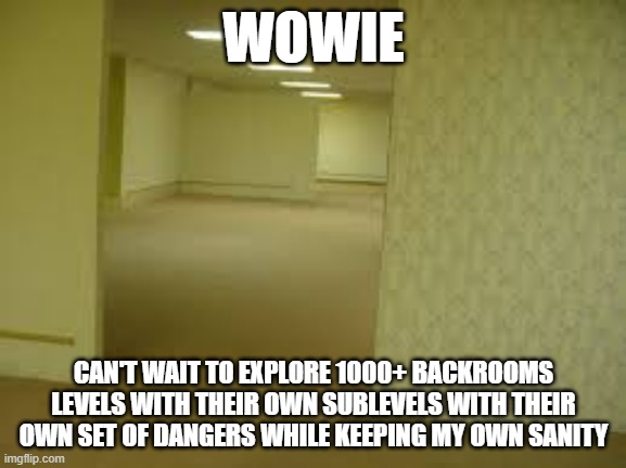 Backrooms | WOWIE; CAN'T WAIT TO EXPLORE 1000+ BACKROOMS LEVELS WITH THEIR OWN SUBLEVELS WITH THEIR OWN SET OF DANGERS WHILE KEEPING MY OWN SANITY | image tagged in the backrooms,backrooms,dead meme,cringe | made w/ Imgflip meme maker