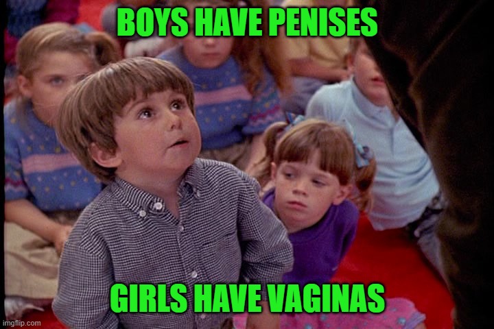 Kindergarten Cop Kid | BOYS HAVE PENISES GIRLS HAVE VAGINAS | image tagged in kindergarten cop kid | made w/ Imgflip meme maker