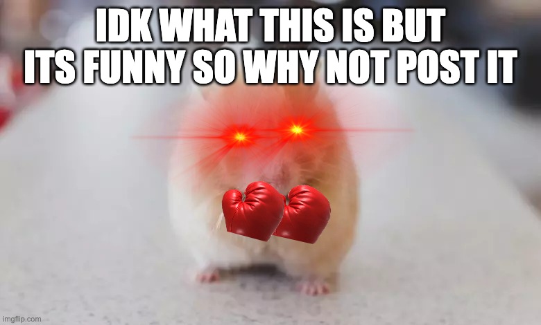 BONK | IDK WHAT THIS IS BUT ITS FUNNY SO WHY NOT POST IT | image tagged in hamster punch | made w/ Imgflip meme maker