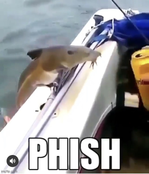 Phish | image tagged in phish | made w/ Imgflip meme maker
