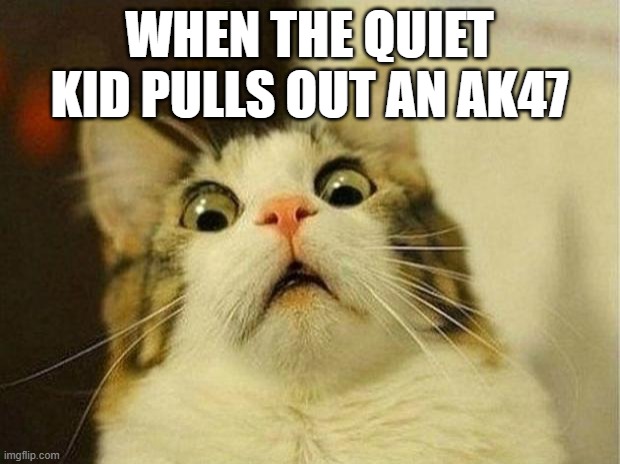 Scared Cat Meme | WHEN THE QUIET KID PULLS OUT AN AK47 | image tagged in memes,scared cat | made w/ Imgflip meme maker