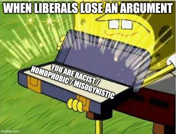 Spongbob secret weapon | WHEN LIBERALS LOSE AN ARGUMENT; YOU ARE RACIST / HOMOPHOBIC / MISOGYNISTIC | image tagged in spongbob secret weapon | made w/ Imgflip meme maker