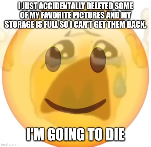 If you know anyway to fix it please tell me | I JUST ACCIDENTALLY DELETED SOME OF MY FAVORITE PICTURES AND MY STORAGE IS FULL SO I CAN'T GET THEM BACK. I'M GOING TO DIE | image tagged in happy emoji on the outside but crying on the inside | made w/ Imgflip meme maker