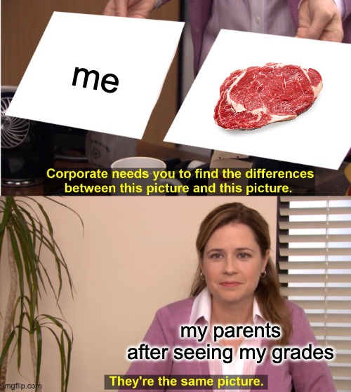 They're The Same Picture | me; my parents after seeing my grades | image tagged in memes,they're the same picture | made w/ Imgflip meme maker