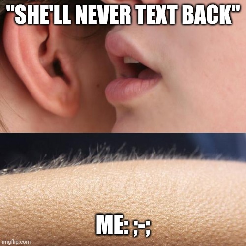 Whisper and Goosebumps | "SHE'LL NEVER TEXT BACK"; ME: ;-; | image tagged in whisper and goosebumps | made w/ Imgflip meme maker