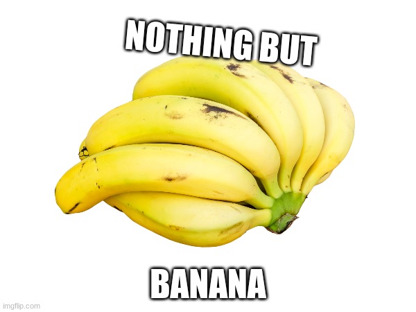 banana | NOTHING BUT; BANANA | image tagged in bananas,memes,fruit | made w/ Imgflip meme maker