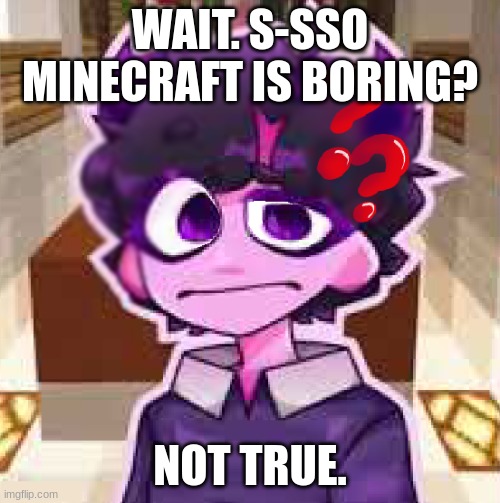 jellybean | WAIT. S-SSO MINECRAFT IS BORING? NOT TRUE. | image tagged in jellybean | made w/ Imgflip meme maker