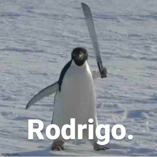 Rodrigo | image tagged in rodrigo,dank memes,pizza,stop reading the tags,i too like to live dangerously | made w/ Imgflip meme maker