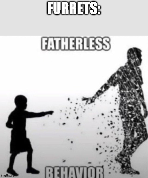 Fatherless Behavior | FURRETS: | image tagged in fatherless behavior | made w/ Imgflip meme maker