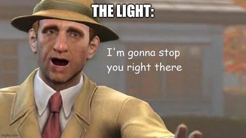 I'm gonna stop you right there | THE LIGHT: | image tagged in i'm gonna stop you right there | made w/ Imgflip meme maker