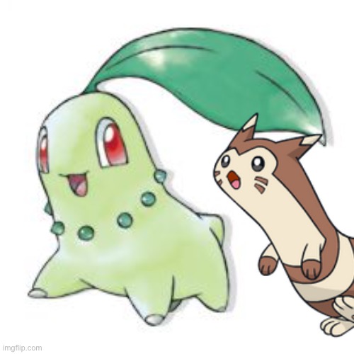 Furret and Chikorita! | image tagged in furret and chikorita | made w/ Imgflip meme maker
