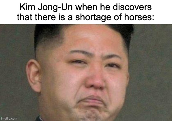 Kim Jong-Un would prefer to love a horse, but would eat a rabbit instead | Kim Jong-Un when he discovers that there is a shortage of horses: | image tagged in sad kim jong un,kim jong un,love of,horses,horse,shortage | made w/ Imgflip meme maker