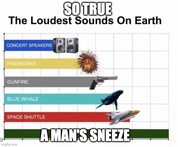 The Loudest Sounds On Earth | SO TRUE; A MAN'S SNEEZE | image tagged in the loudest sounds on earth | made w/ Imgflip meme maker