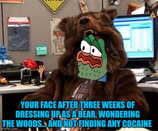bear coat | YOUR FACE AFTER THREE WEEKS OF DRESSING UP AS A BEAR, WONDERING THE WOODS… AND NOT FINDING ANY COCAINE | image tagged in bear coat | made w/ Imgflip meme maker