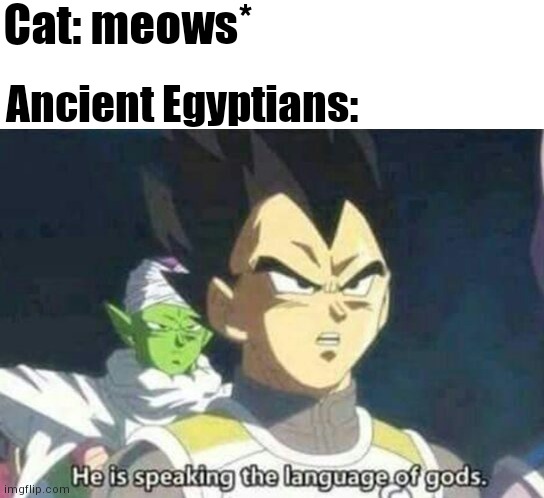 They be worshipping cats ? | Cat: meows*; Ancient Egyptians: | image tagged in he is speaking the language of gods,language,historical meme,gods of egypt,egypt,memes | made w/ Imgflip meme maker