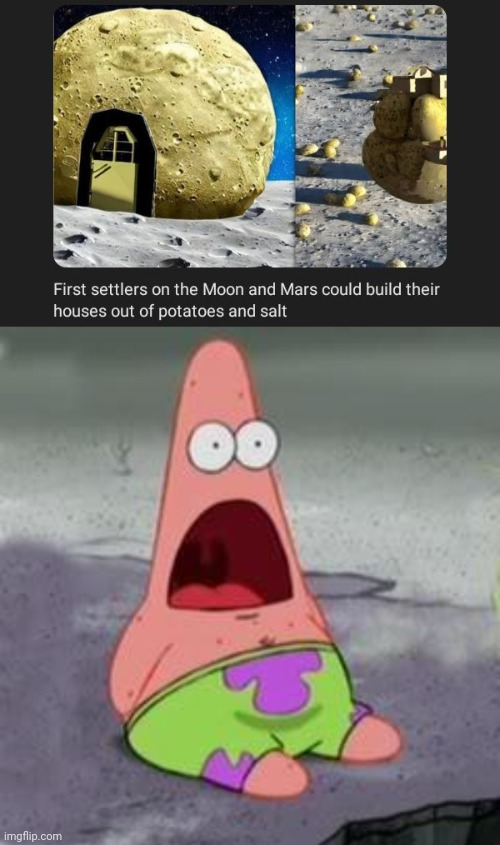 Houses out of potatoes and salt | image tagged in suprised patrick,science,mars,memes,houses,settlers | made w/ Imgflip meme maker