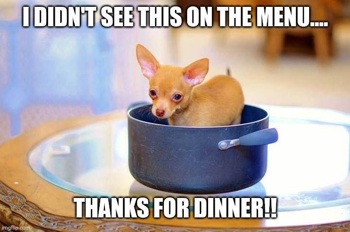 MEXICAN FOOD | I DIDN'T SEE THIS ON THE MENU.... THANKS FOR DINNER!! | image tagged in mexican food | made w/ Imgflip meme maker