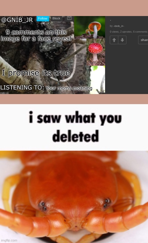 i saw what you deleted | image tagged in i saw what you deleted | made w/ Imgflip meme maker