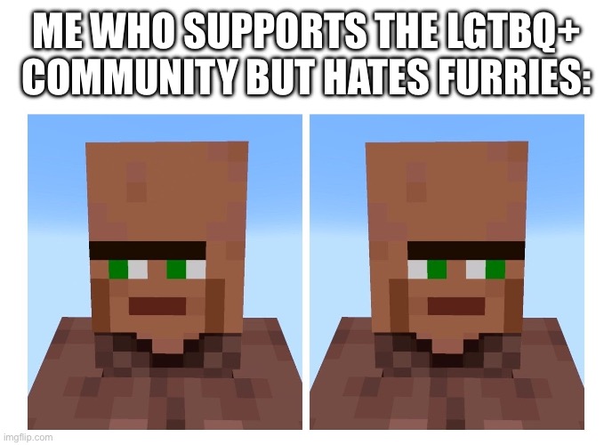 Villager looking right and left | ME WHO SUPPORTS THE LGTBQ+ COMMUNITY BUT HATES FURRIES: | image tagged in villager looking right and left | made w/ Imgflip meme maker